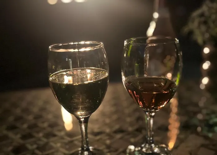 Ferienhaus Vive Putten